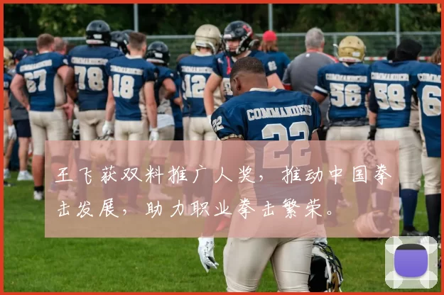 王飞获双料推广人奖，推动中国拳击发展，助力职业拳击繁荣。
