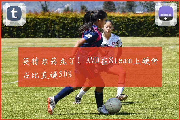 英特尔药丸了！AMD在Steam上硬件占比直逼50%