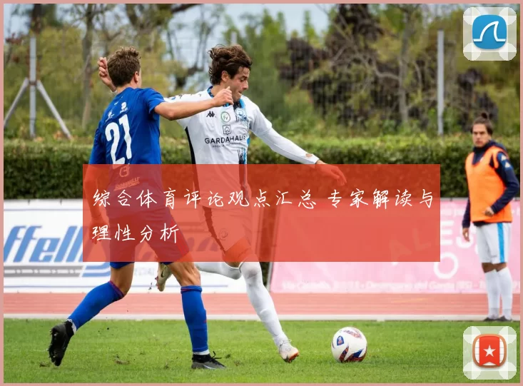 综合体育评论观点汇总 专家解读与理性分析
